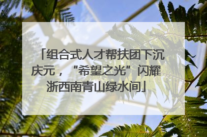 组合式人才帮扶团下沉庆元，“希望之光”闪耀浙西南青山绿水间