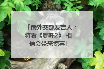 俄外交部发言人：将看《哪吒2》 相信会带来惊喜