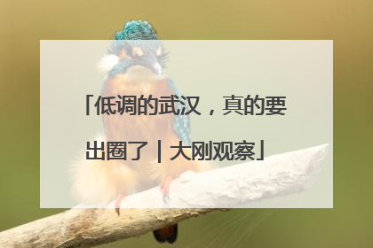 低调的武汉，真的要出圈了｜大刚观察