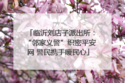 临沂刘店子派出所：“邻家义警”织密平安网 警民携手暖民心
