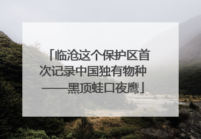 临沧这个保护区首次记录中国独有物种——黑顶蛙口夜鹰