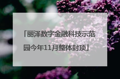 丽泽数字金融科技示范园今年11月整体封顶