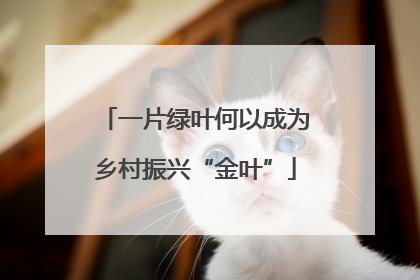 一片绿叶何以成为乡村振兴“金叶”