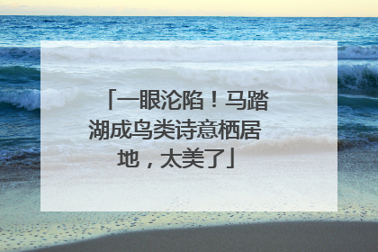 一眼沦陷！马踏湖成鸟类诗意栖居地，太美了