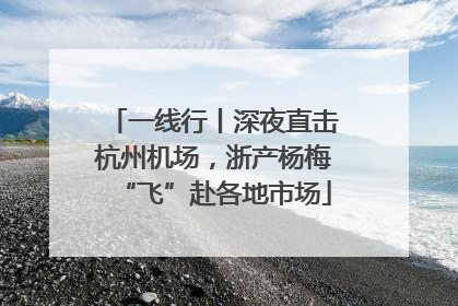 一线行丨深夜直击杭州机场，浙产杨梅“飞”赴各地市场