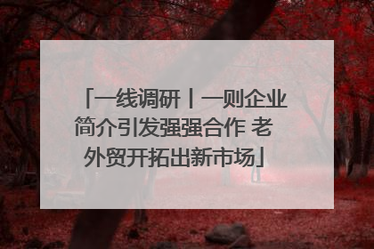一线调研丨一则企业简介引发强强合作 老外贸开拓出新市场