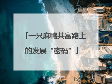 一只麻鸭共富路上的发展“密码”