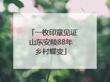 一枚印章见证山东安陵88年乡村蝶变