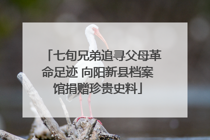七旬兄弟追寻父母革命足迹 向阳新县档案馆捐赠珍贵史料