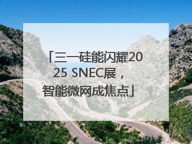 三一硅能闪耀2025 SNEC展，智能微网成焦点