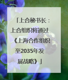 上合秘书长：上合组织将通过《上海合作组织至2035年发展战略》