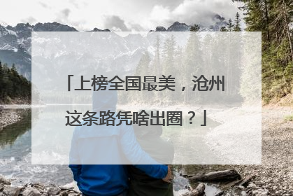 上榜全国最美，沧州这条路凭啥出圈？
