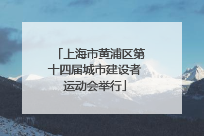上海市黄浦区第十四届城市建设者运动会举行