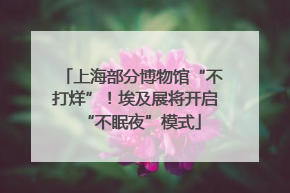 上海部分博物馆“不打烊”！埃及展将开启“不眠夜”模式
