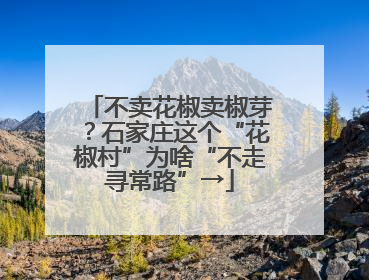 不卖花椒卖椒芽？石家庄这个“花椒村”为啥“不走寻常路”→