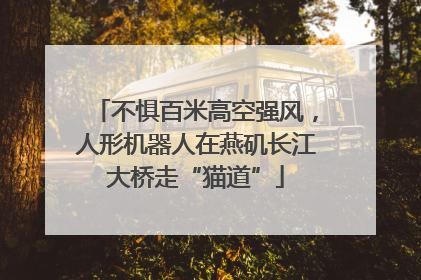 不惧百米高空强风，人形机器人在燕矶长江大桥走“猫道”