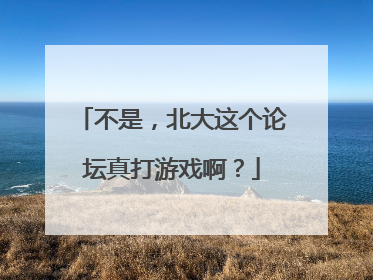 不是，北大这个论坛真打游戏啊？