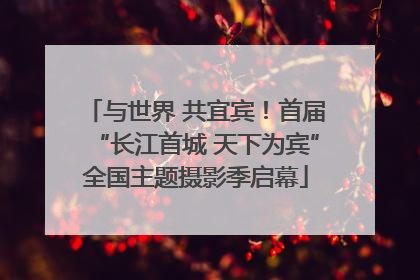 与世界 共宜宾！首届“长江首城 天下为宾”全国主题摄影季启幕