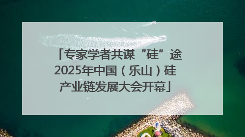专家学者共谋“硅”途 2025年中国（乐山）硅产业链发展大会开幕