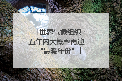 世界气象组织：五年内大概率再迎“最暖年份”
