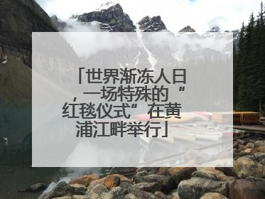 世界渐冻人日，一场特殊的“红毯仪式”在黄浦江畔举行