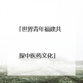 世界青年福建共探中医药文化
