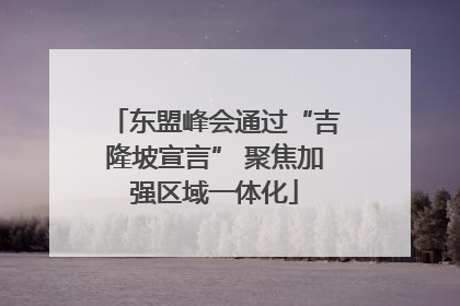东盟峰会通过“吉隆坡宣言” 聚焦加强区域一体化