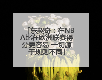 东契奇：在NBA比在欧洲联赛得分更容易 一切源于规则不同