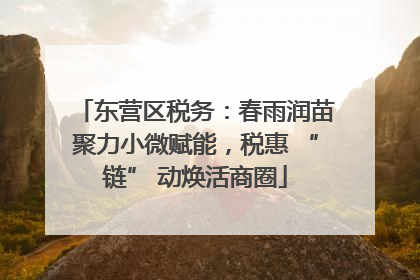 东营区税务：春雨润苗聚力小微赋能，税惠 “链” 动焕活商圈