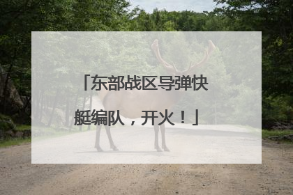 东部战区导弹快艇编队，开火！