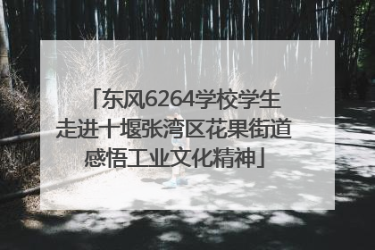 东风6264学校学生走进十堰张湾区花果街道感悟工业文化精神