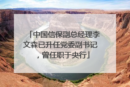 中国信保副总经理李文森已升任党委副书记，曾任职于央行