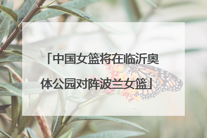 中国女篮将在临沂奥体公园对阵波兰女篮