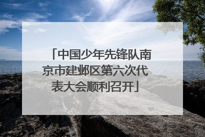 中国少年先锋队南京市建邺区第六次代表大会顺利召开