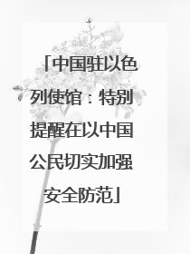 中国驻以色列使馆：特别提醒在以中国公民切实加强安全防范
