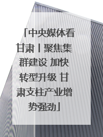 中央媒体看甘肃丨聚焦集群建设 加快转型升级 甘肃支柱产业增势强劲