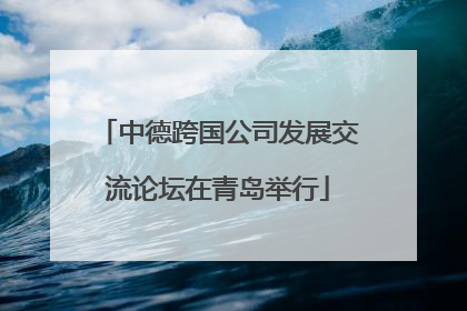 中德跨国公司发展交流论坛在青岛举行