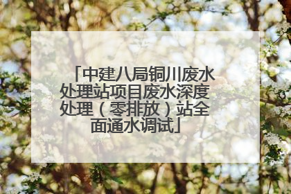 中建八局铜川废水处理站项目废水深度处理（零排放）站全面通水调试