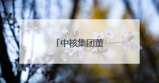 中核集团董事长调整