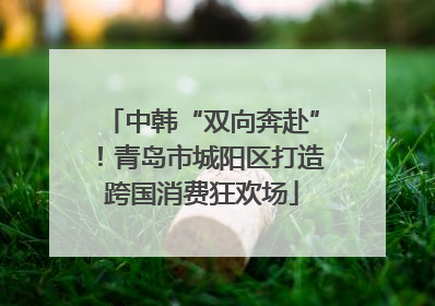 中韩“双向奔赴”！青岛市城阳区打造跨国消费狂欢场
