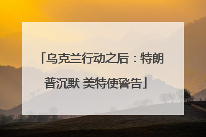 乌克兰行动之后：特朗普沉默 美特使警告
