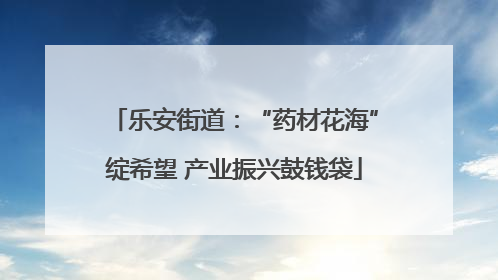 乐安街道：“药材花海”绽希望 产业振兴鼓钱袋