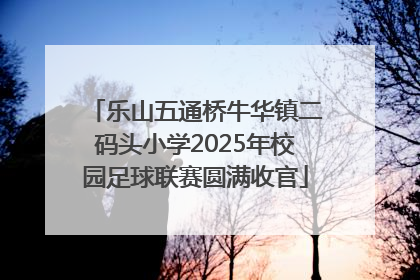 乐山五通桥牛华镇二码头小学2025年校园足球联赛圆满收官