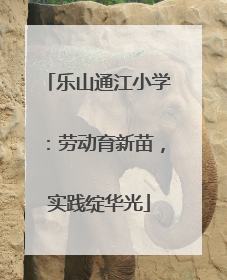 乐山通江小学：劳动育新苗，实践绽华光