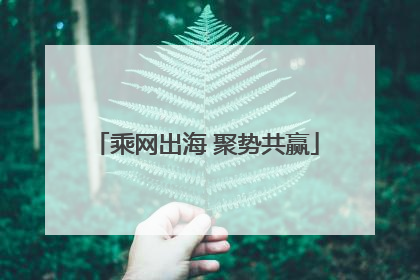 乘网出海 聚势共赢