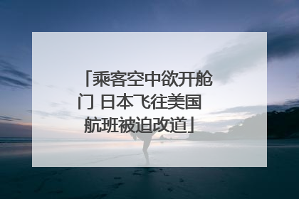 乘客空中欲开舱门 日本飞往美国航班被迫改道