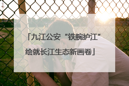 九江公安“铁腕护江”绘就长江生态新画卷