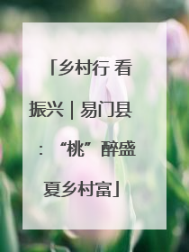 乡村行 看振兴｜易门县：“桃”醉盛夏乡村富