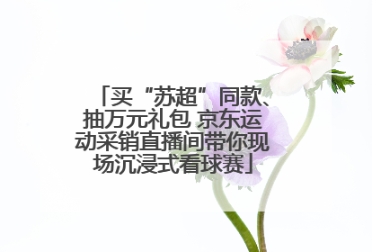 买“苏超”同款、抽万元礼包 京东运动采销直播间带你现场沉浸式看球赛