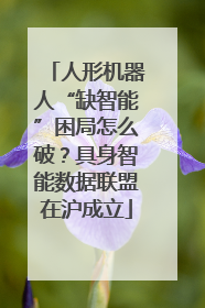 人形机器人“缺智能”困局怎么破？具身智能数据联盟在沪成立